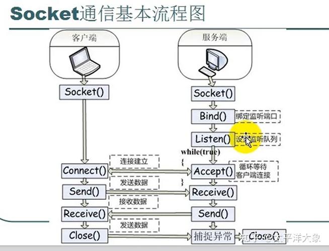 linux socket 获取网页源码