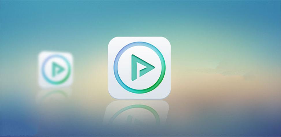 .net网页中视频本地播放器播放视频