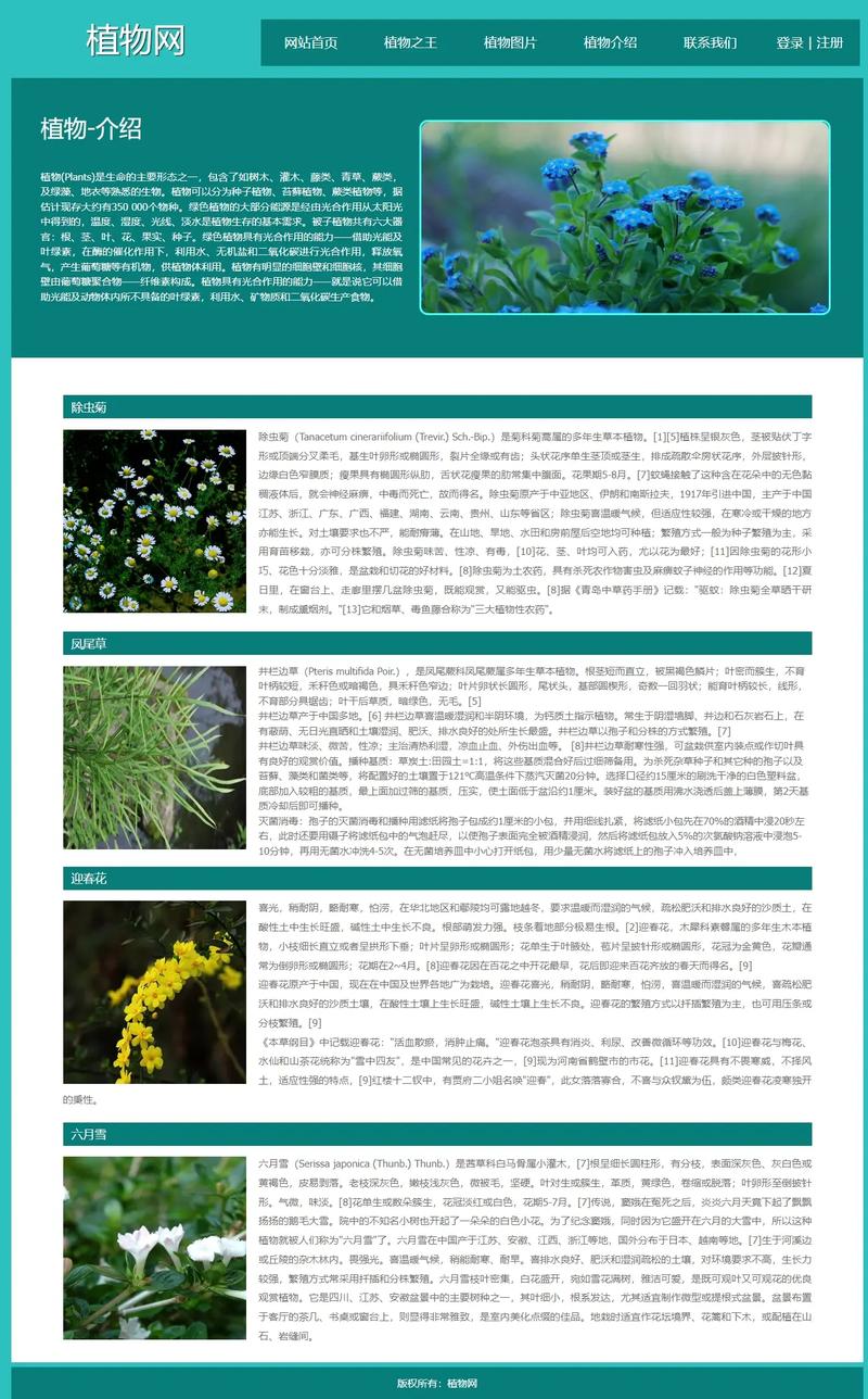 dreamweaver网页设计模板下载