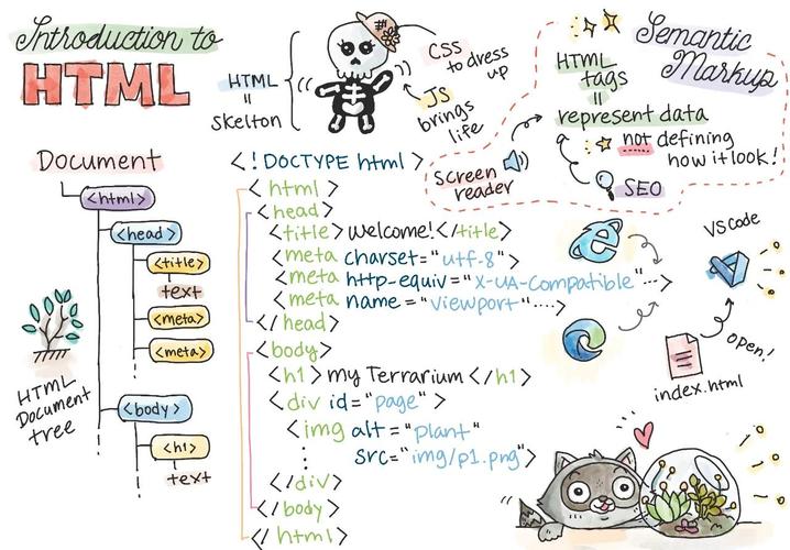 html入门知识与html入门教程