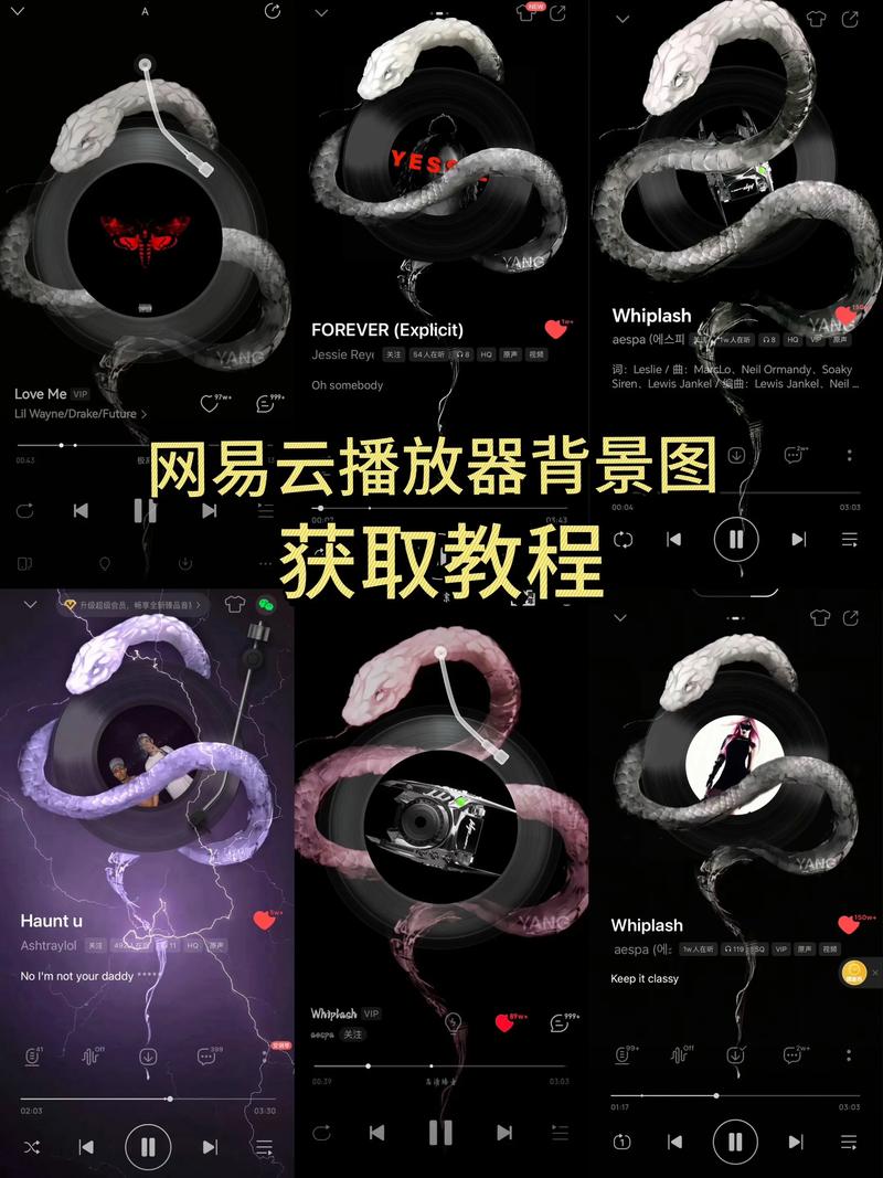 网页背景音乐播放器 js代码 下载