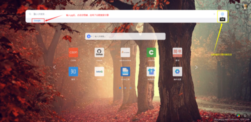 asp.net 网页 socket