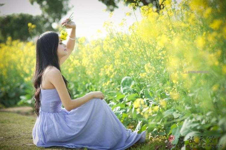 discuz绿色带门户手机网站模板