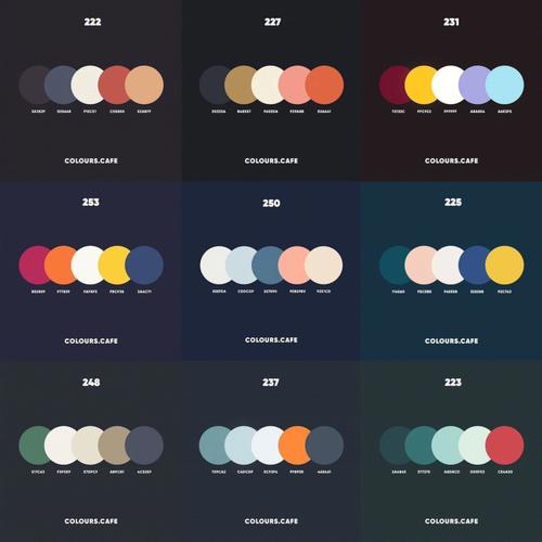 精美十配色地方门户discuz模板