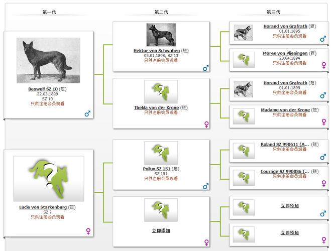 discuz!x3.2 免费模板