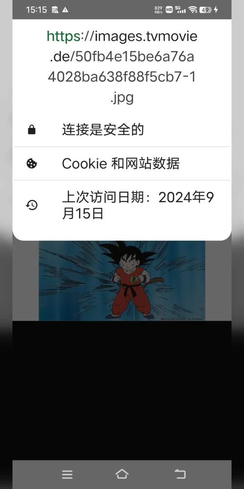 在线网页看flv视频播放器手机版