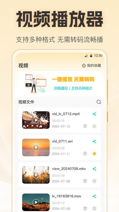 .net网页中视频本地播放器播放