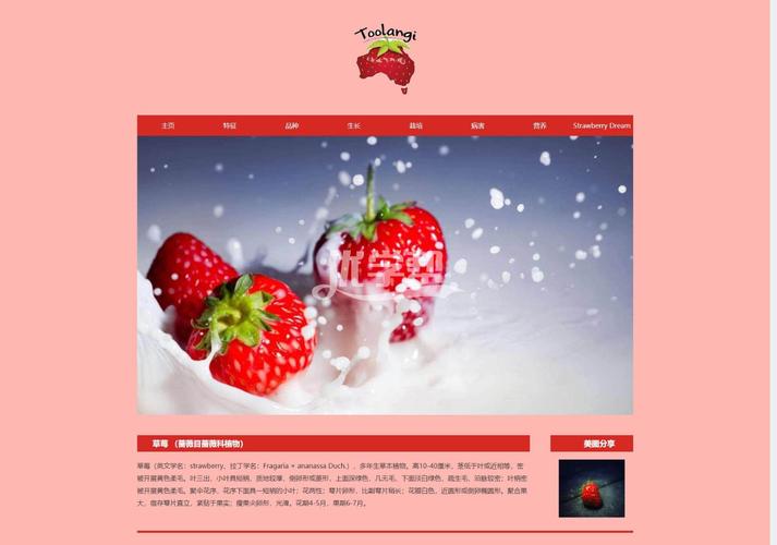 asp动态网页设计制作打字机特效