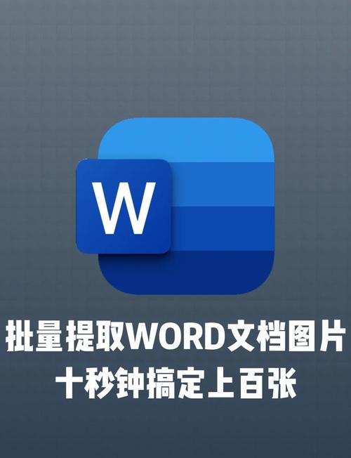 word图片 如何复制到动易网页