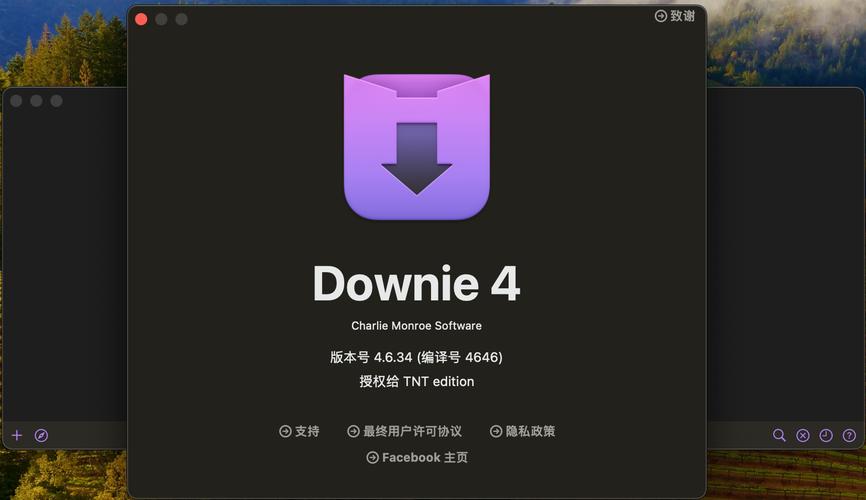 网页模板小偷 v12.6 破解版