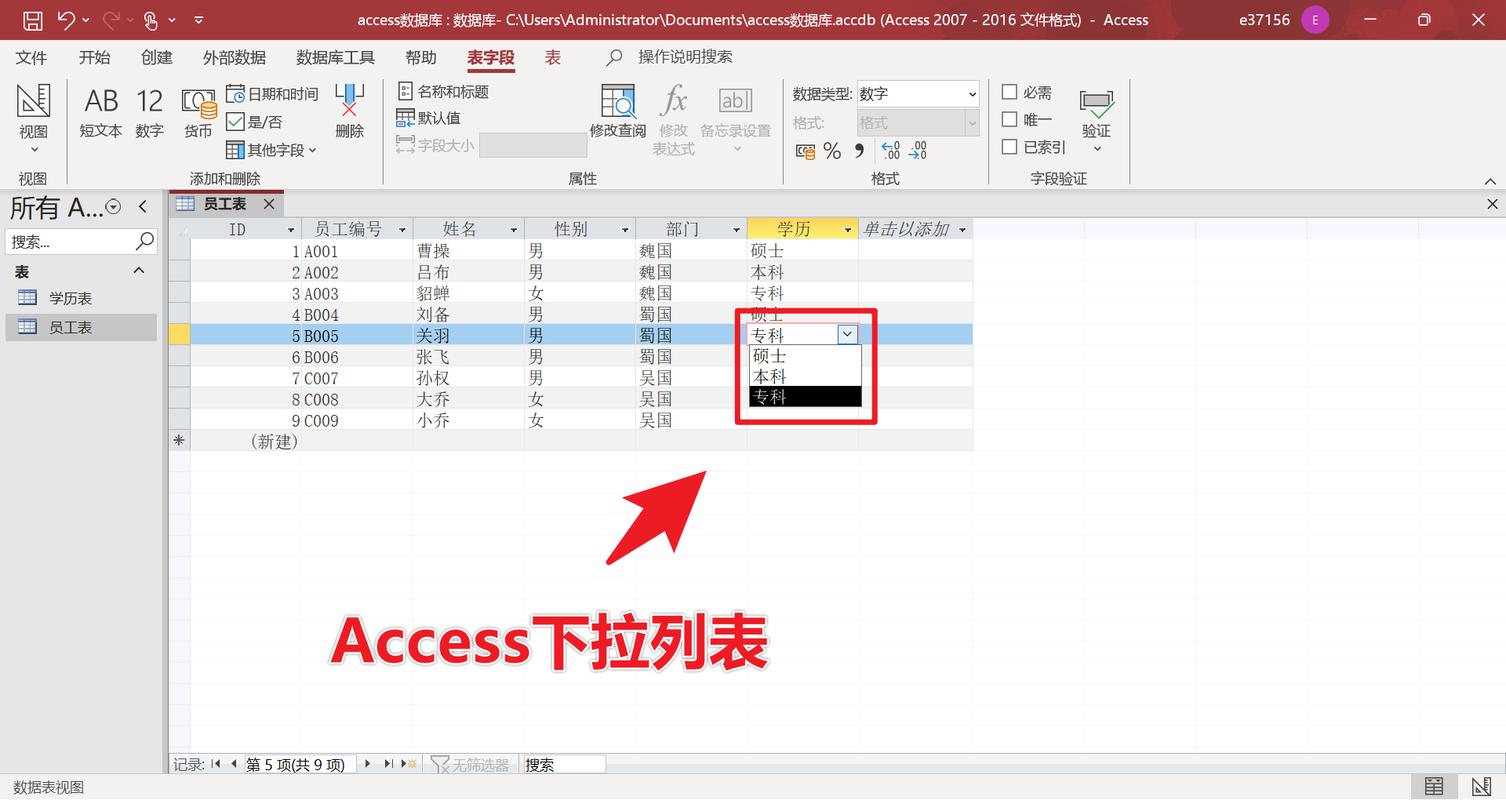 asp.net access 模板