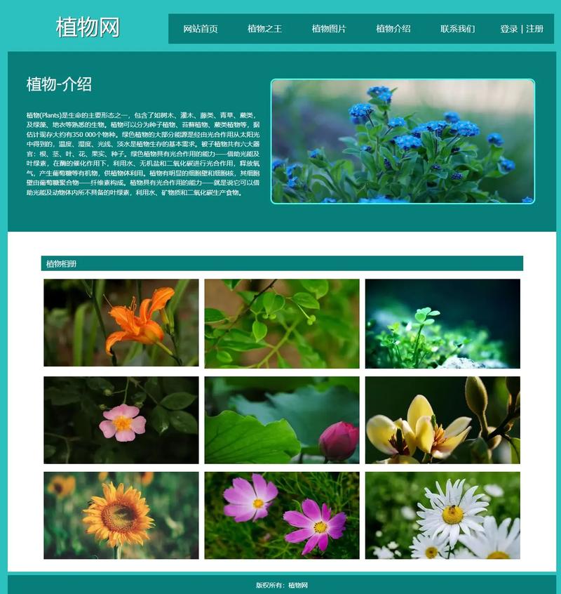 dreamweaver网页设计模板