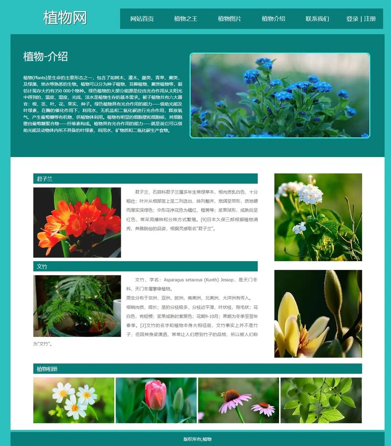 dreamweaver网页制作模板