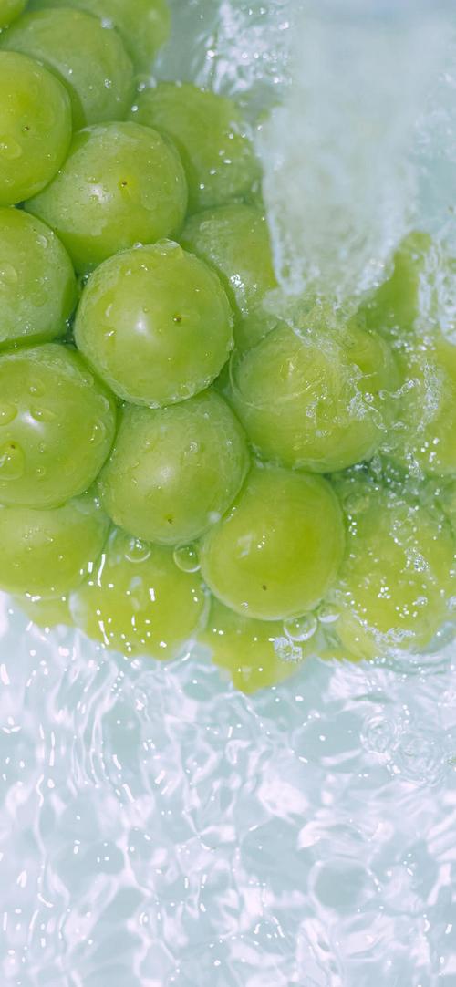 绿色的手机网上水果商城wap模板