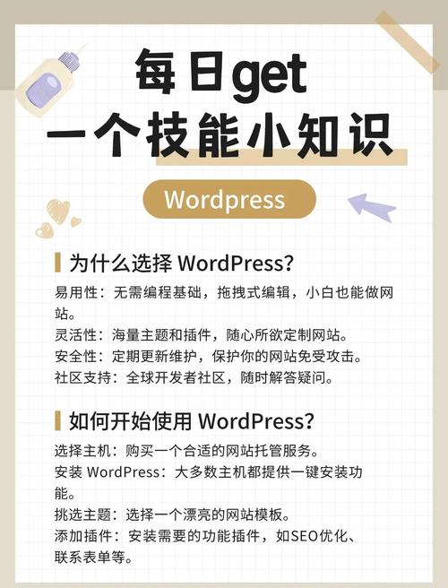 wordpress cms教程