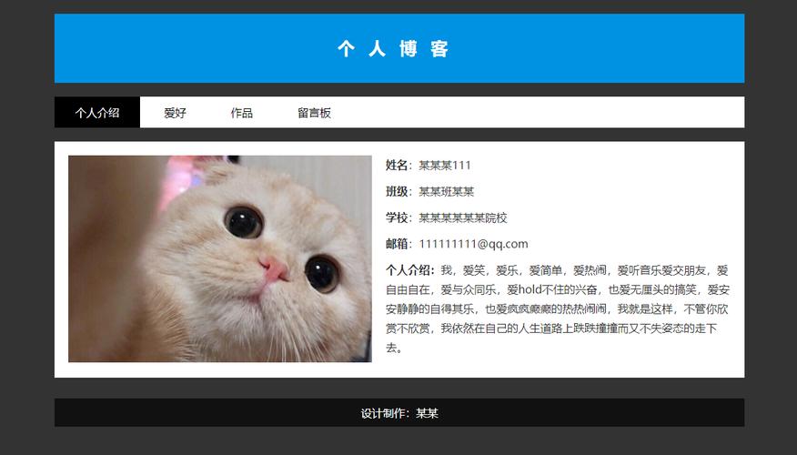 清爽博客资讯discuz论坛模板