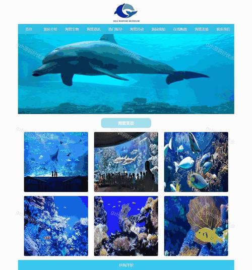 HTML利用静态网页中动画效果