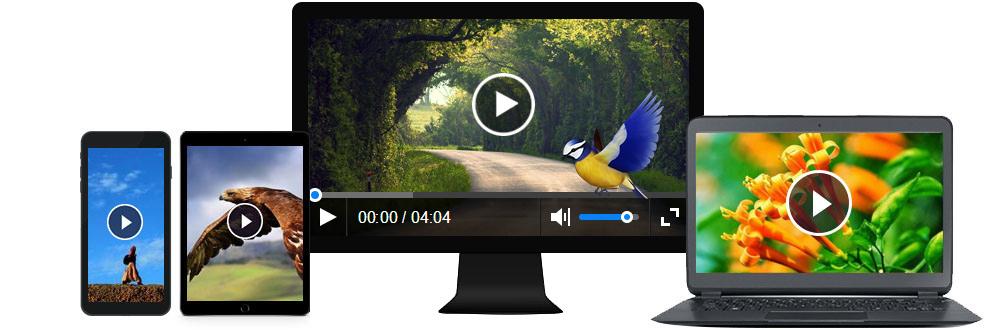 ckplayer广告使用教程