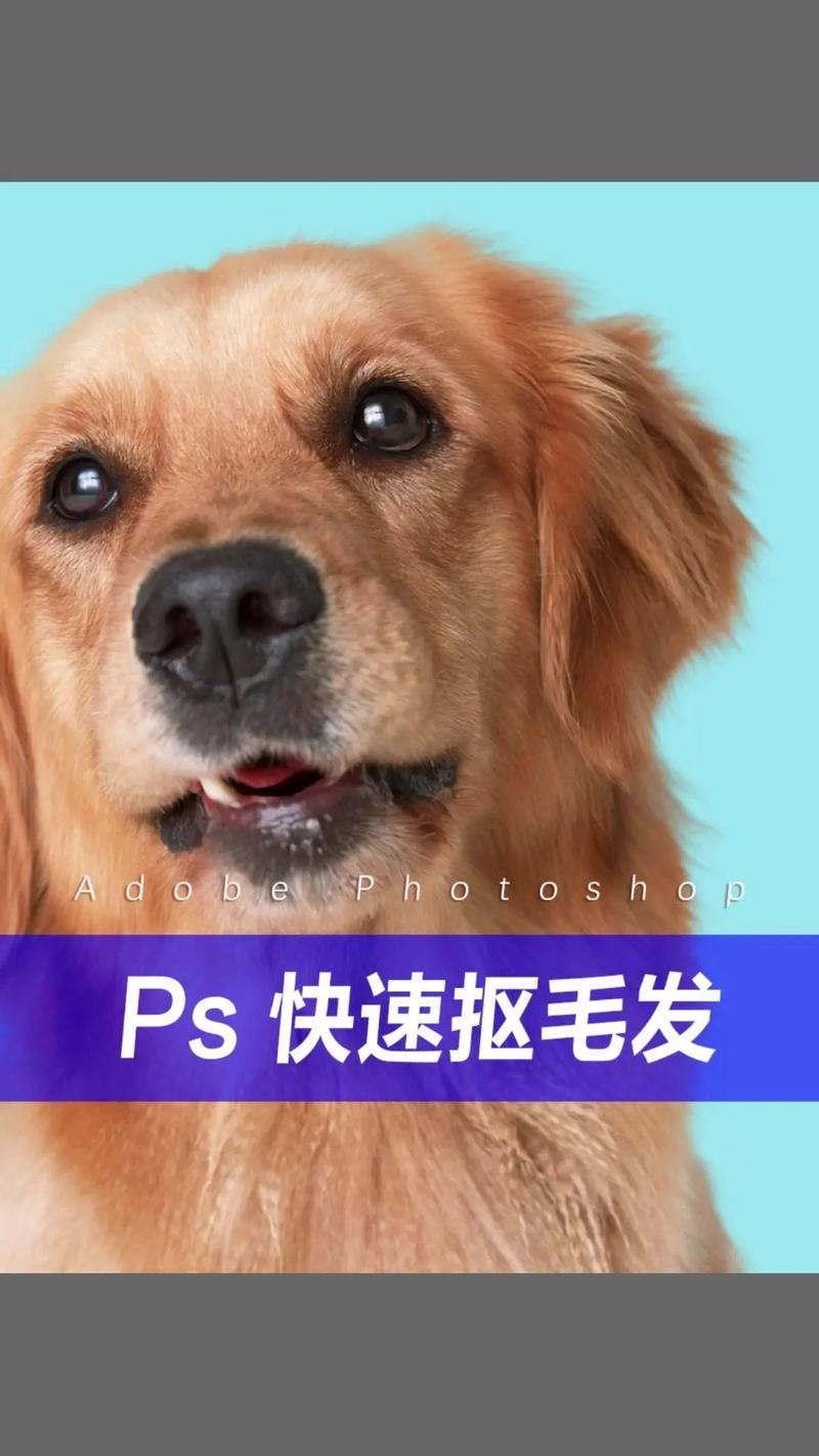 ps扣男生头发教程视频教程