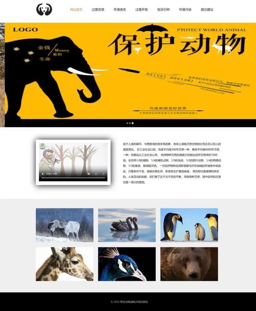 div css 中文网站模板