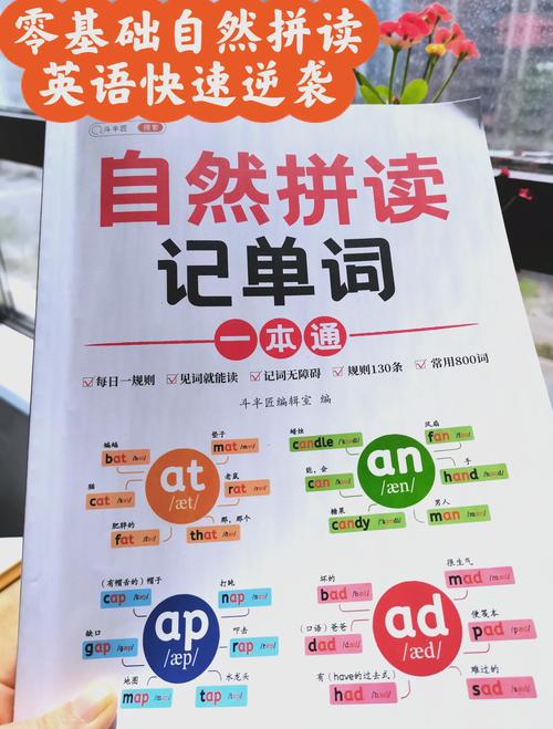 英语自然拼读教程万老师