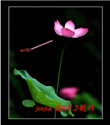 flash动态文本教程