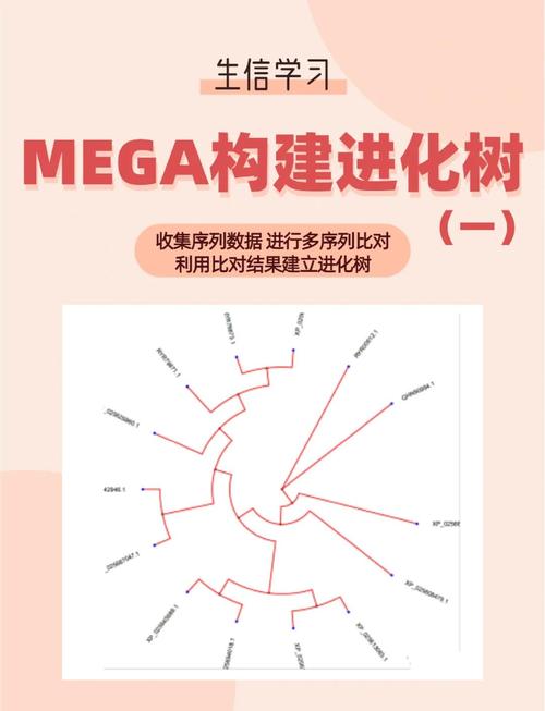magento 模板开发教程