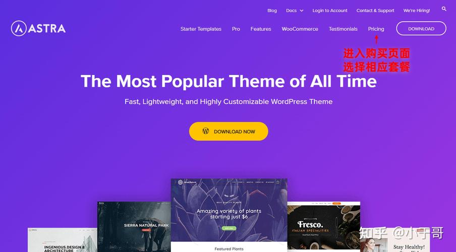 wordpress 公司模板