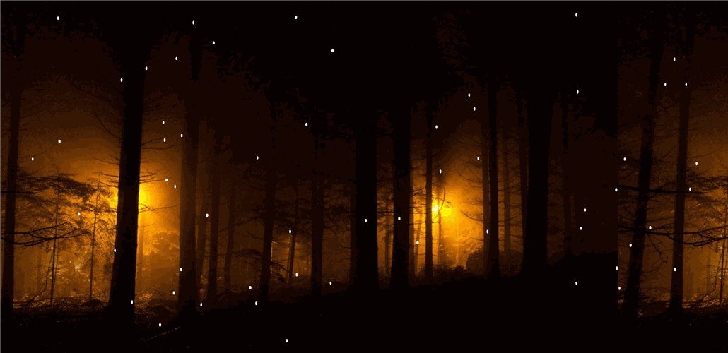 ie js实现网页动态背景