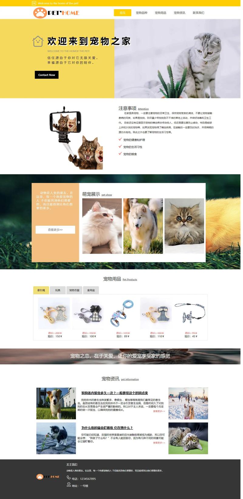 简单的html网页设计作品