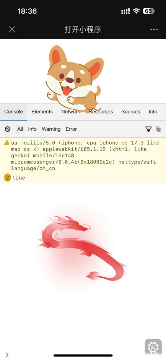 ipad怎么查看网页源代码
