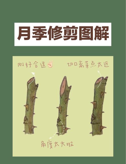 边缘层次修剪教程ps