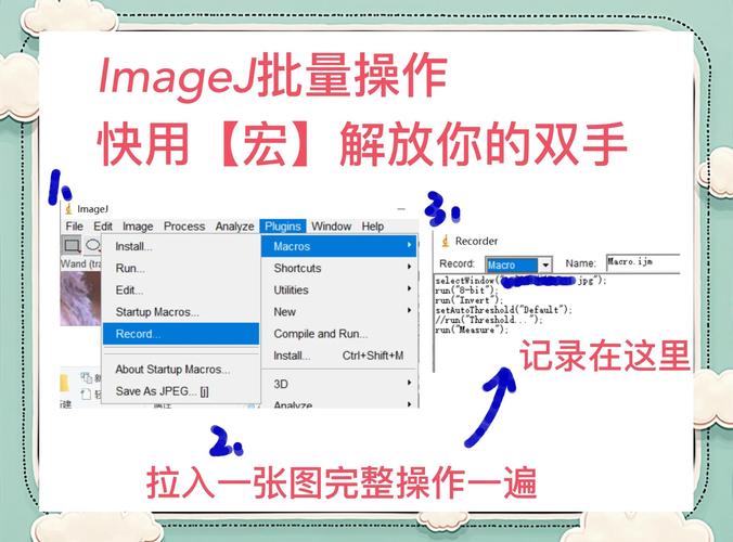 怎样从网页剪切js代码