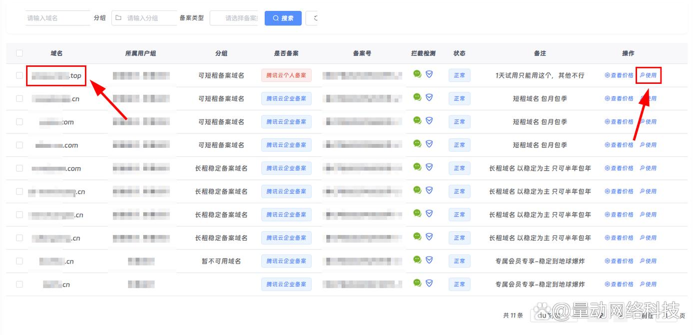 dz二级域名教程