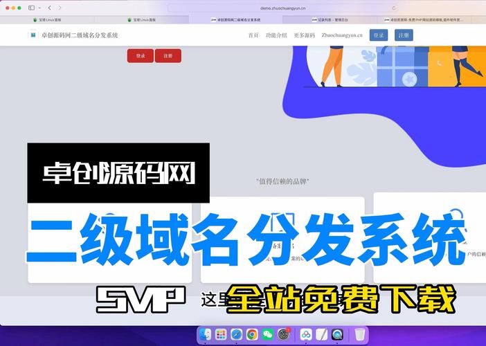 dz二级域名教程